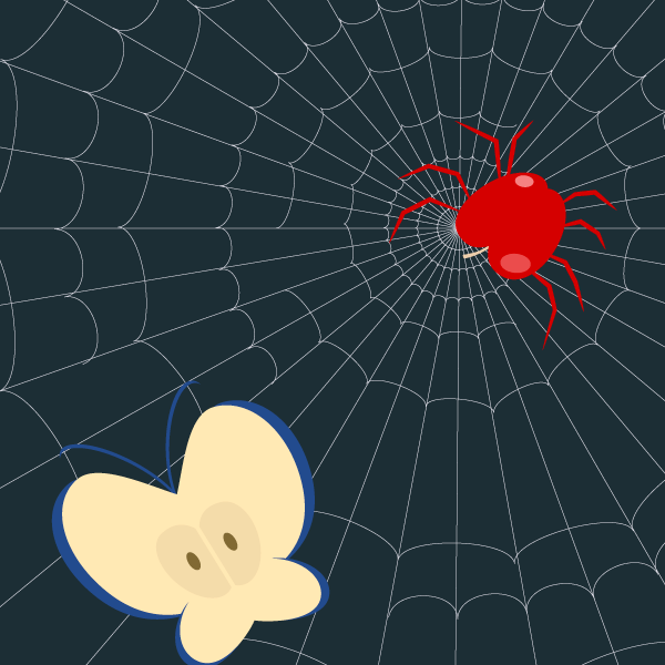 spiders-web